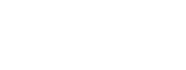 Viametrics logo
